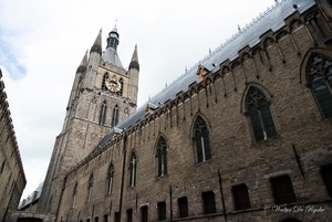 IEPER 2014 (152 van 215)