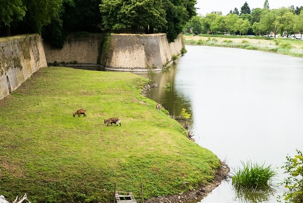 IEPER 2014 (188 van 215)