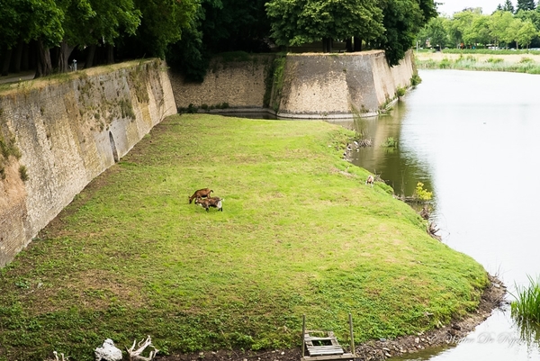 IEPER 2014 (190 van 215)