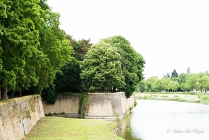 IEPER 2014 (191 van 215)