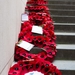 IEPER 2014 (200 van 215)