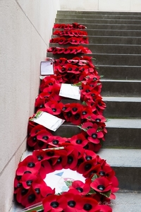 IEPER 2014 (200 van 215)