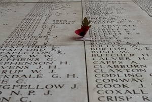 IEPER 2014 (202 van 215)