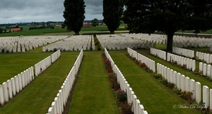 IEPER 2014 (47 van 215)