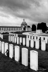 IEPER 2014 (51 van 215)