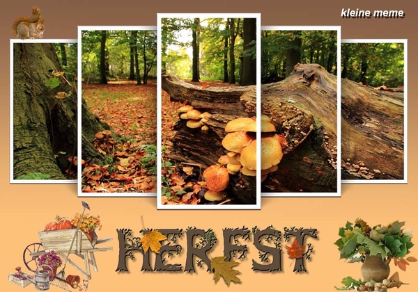 Kleine meme project6