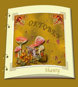 Shanty project 8