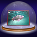 NOTI project 10.1