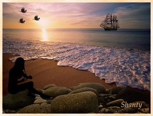Shanty project 48.1
