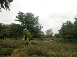 P8040005