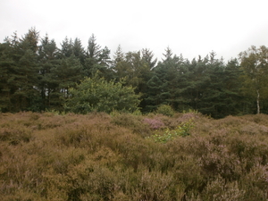 P8040007