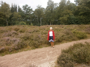 P8040013