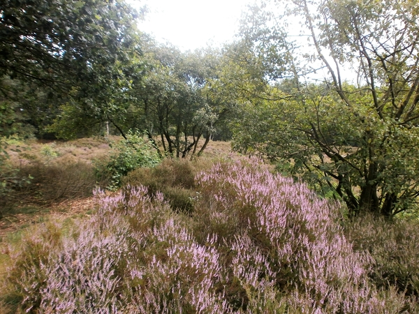 P8040018