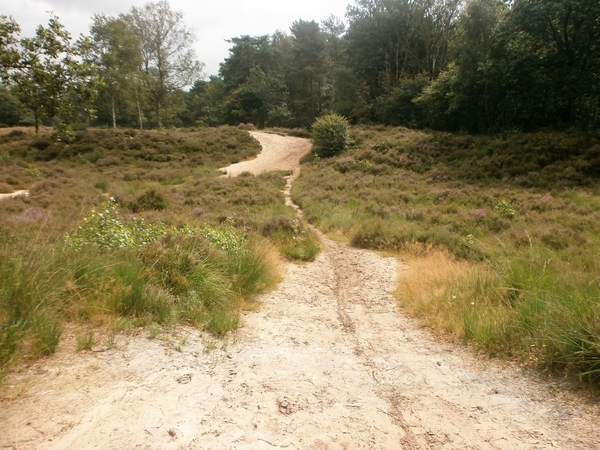 P8040033