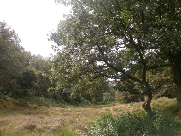 P8040037
