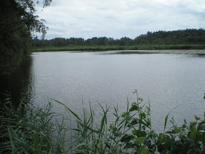 begijnenvijvers