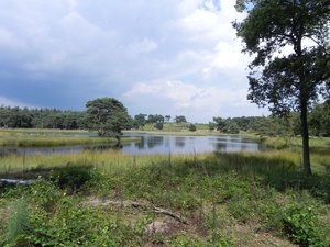 Nat park Maasduinen (12)