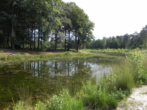 Nat park Maasduinen (19)