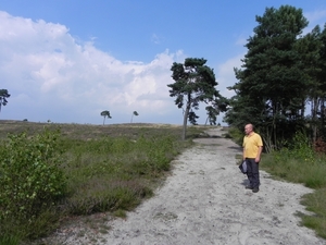 Nat park Maasduinen (5)