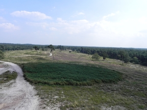 Nat park Maasduinen (9)