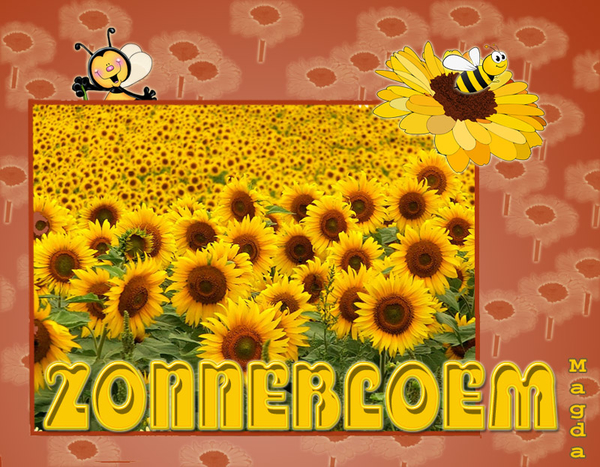 Adgamsobeilo project 49.1