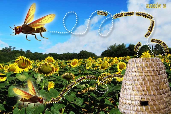 Annie a project 49.1