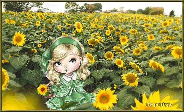 De prutser project 49.1