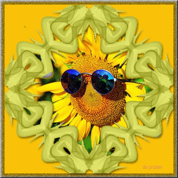 De prutser project 49.4