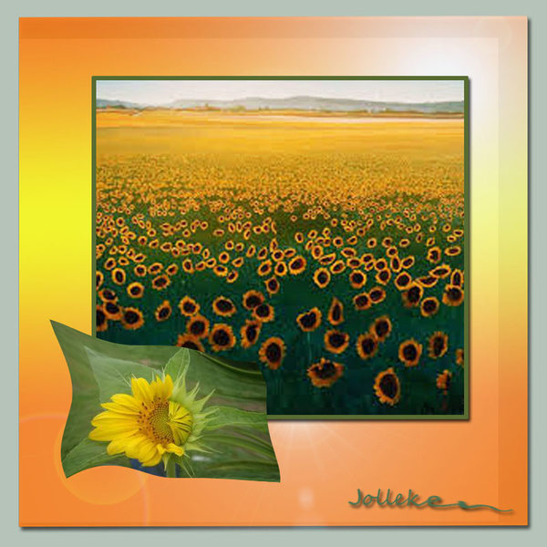 Jolleken project 49.1