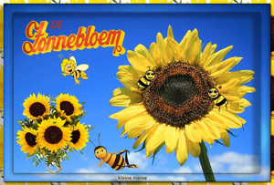 Kleine meme project 49.1
