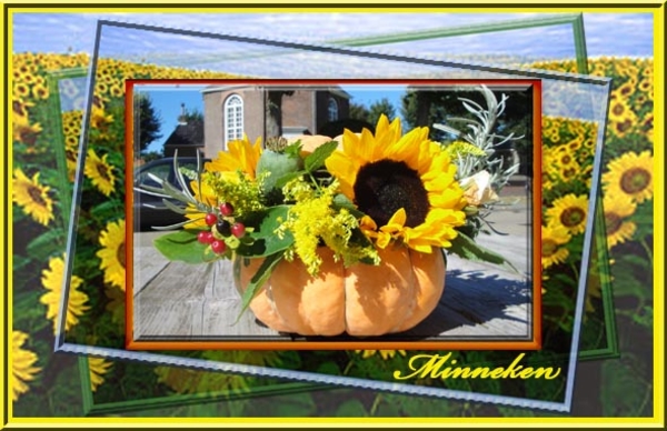 Minneke project 49.1