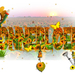 NOTI project 49.3