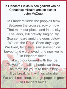 In Flanders field