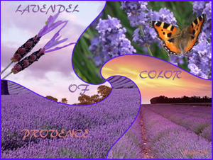 MagdaVS project 50.1