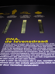 39) Alles over DNA
