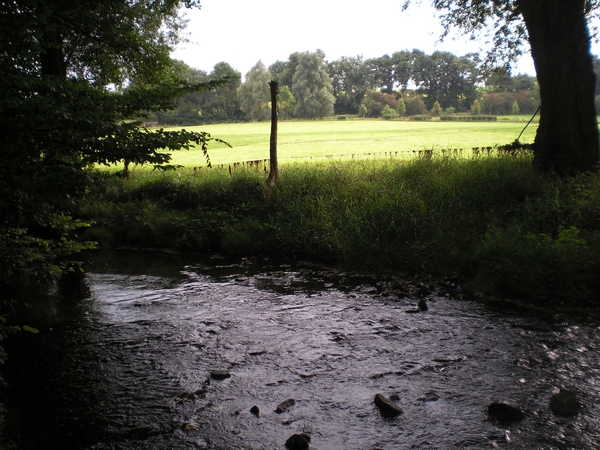La Ptreuse