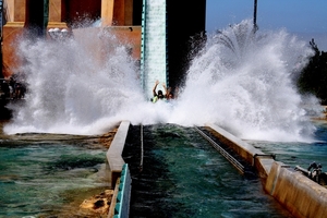 IMG_0206