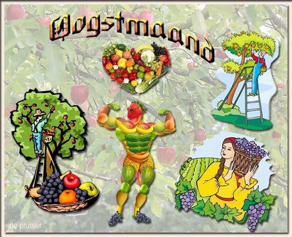 De Prutser project 51.2