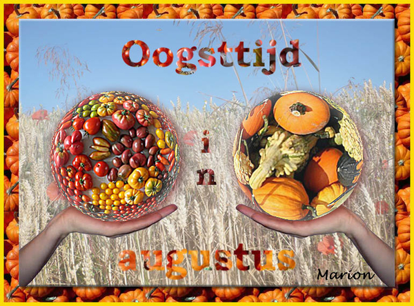 MarionV project 51.1