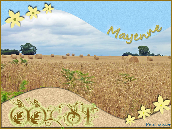 Paul senior project 51.1