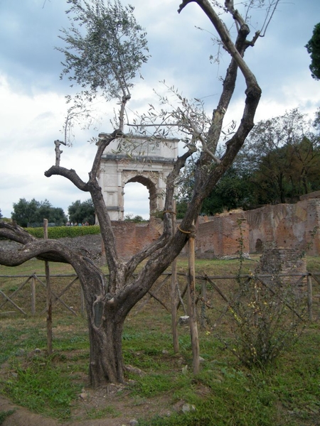 Rome senioren KU Leuven