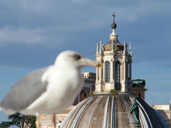 Rome senioren KU Leuven