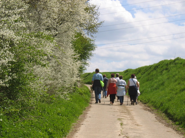 2006 05 wandeling de kevie 004