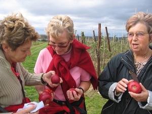 Proef KAV-Nerem 6 - wandelclub september-oktober (21)