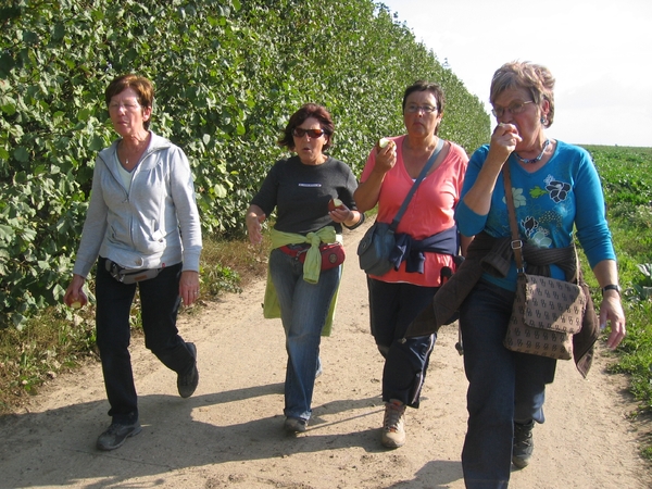 Proef KAV-Nerem 6 - wandelclub september-oktober (48)