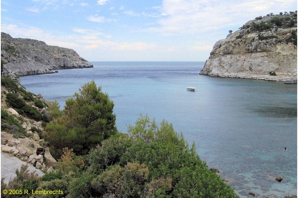 De baai van Anthony Quin