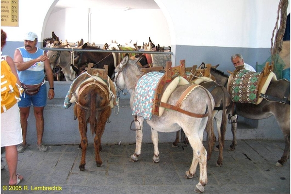 De ezeltjes van Lindos