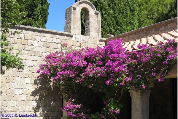 Klooster van Filerimos