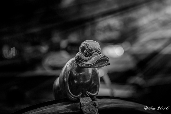 IMG_3673-Edit