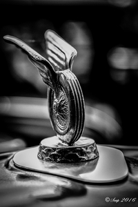 IMG_3709-Edit